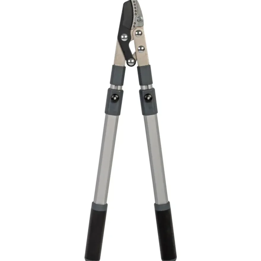 Talen Tools takkenschaar aambeeld telescopisch