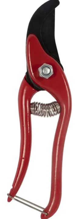 Talen Tools snoeischaar budget