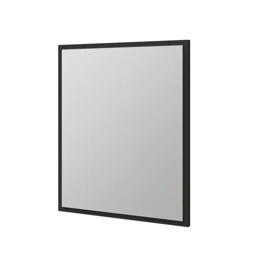 Tiger badkamerspiegel S-line rechthoek 60 x 70 cm met lijst mat zwart