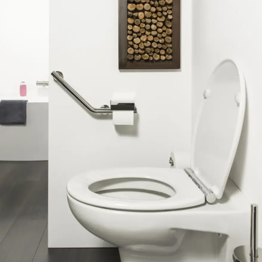 Tiger Boston Comfort en Safety toiletrolhouder met steun links chroom