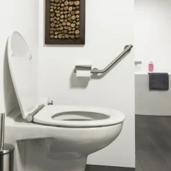 Tiger Boston Comfort en Safety toiletrolhouder met steun rechts rvs