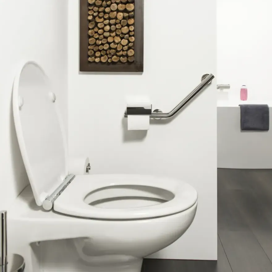 Tiger Boston Comfort en Safety toiletrolhouder met steun rechts chroom