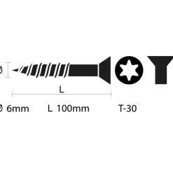 Unischroef 6x100mm torx pk vz 50st