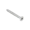 Unischroef 4x50mm torx pk vz 15st