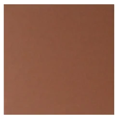 Vloertegel Aveiro Caramel 10x10 cm 1,0 m²