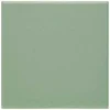 Vloertegel Aveiro Light Green 10x10 cm 1,0 m²