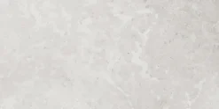Vloertegel Eterna 60 x 119,8 cm keramiek grijs 1,44 m²