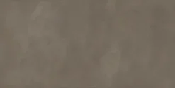 Vloertegel Tundra taupe 60 x 120 cm keramiek 1,43 m²