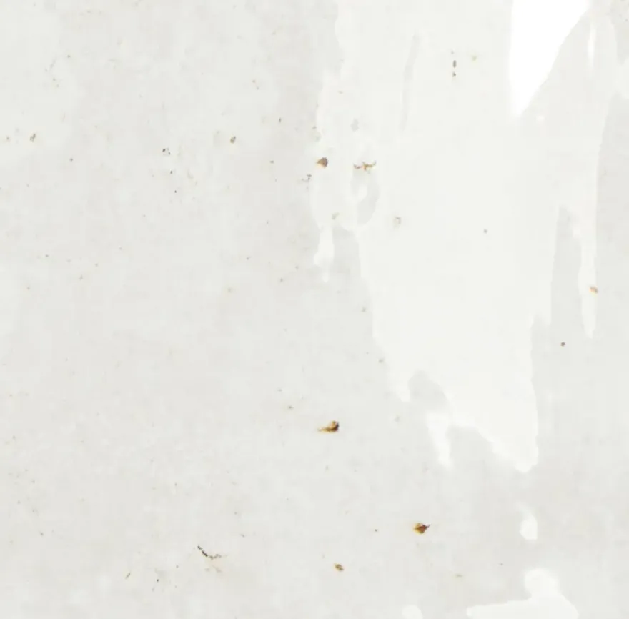 Wandtegel Fermo glanzend 12,5 cm x 12,5 cm keramiek wit 0,587 m²