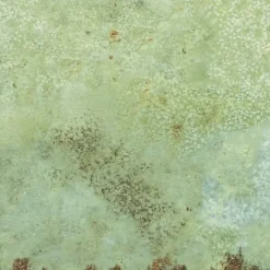 Wandtegel Fermo groen 12,5 cm x 12,5 cm keramiek 0,587 m²