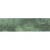 Wandtegel Fermo groen 5 x 25 cm keramiek 0,763 m²