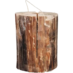 Zweedse fakkel